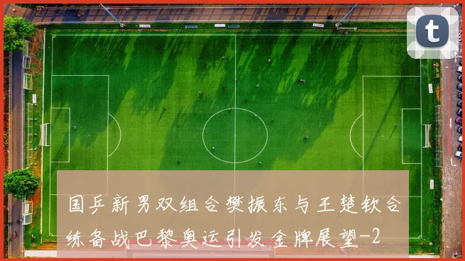 国乒新男双组合樊振东与王楚钦合练备战巴黎奥运引发金牌展望