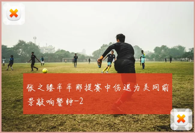 张之臻辛辛那提赛中伤退为美网前景敲响警钟